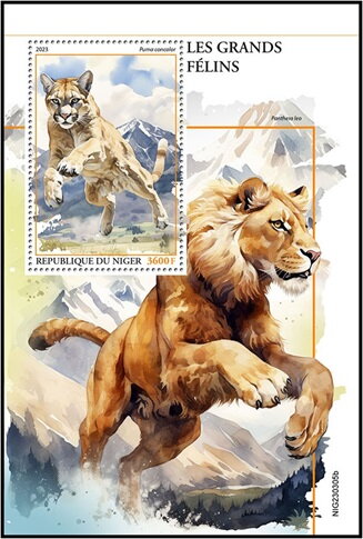 Puma concolor