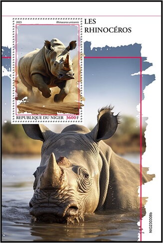 Rhinoceros unicornis