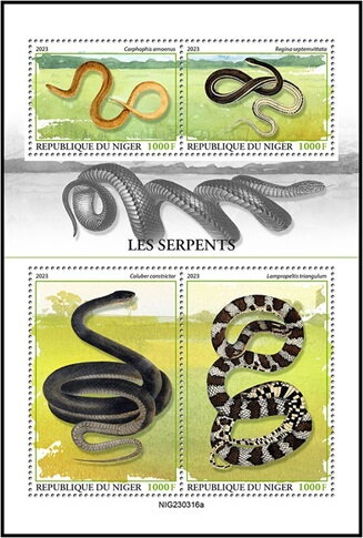 Snakes