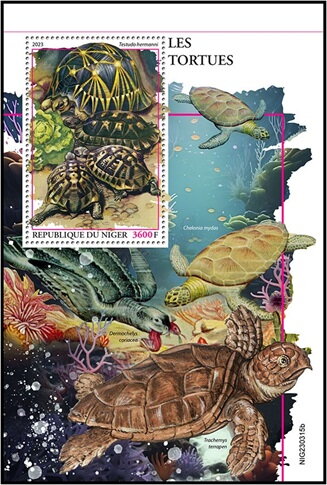 Testudo hermanni