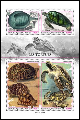 Turtles