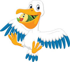 Pelicans