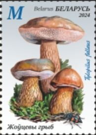 Bitter Bolete
