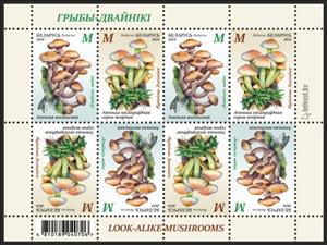 Full Pane, Honey Fungus - Sulphur Tuft, Belarus,  , Mushrooms