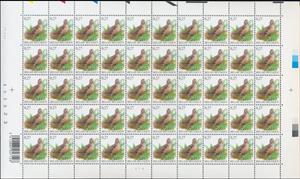 Full Pane, Eurasian Woodcock (Scolopax rusticola), Belgium,  , Animals (Fauna), Birds