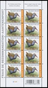 Mini Sheet, Water rail (Rallus aquaticus), Belgium,  , Animals (Fauna), Birds