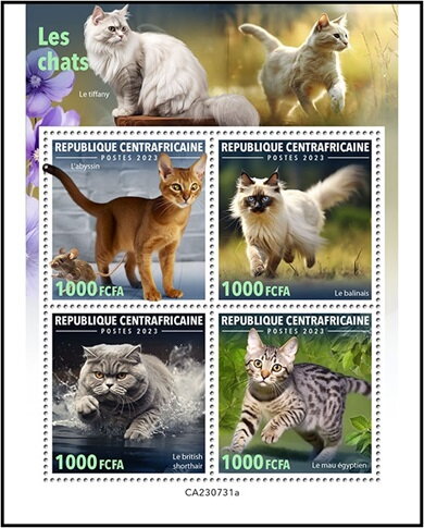 Domestic Cats