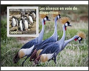 Souvenir Sheet, Eudyptes sclateri, Central African Republic,  , Birds, Penguins