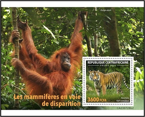 Panthera tigris sondaica