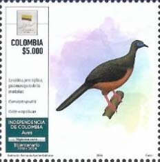 Birds of Colombia