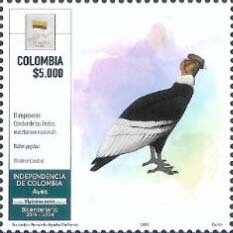 Birds of Colombia