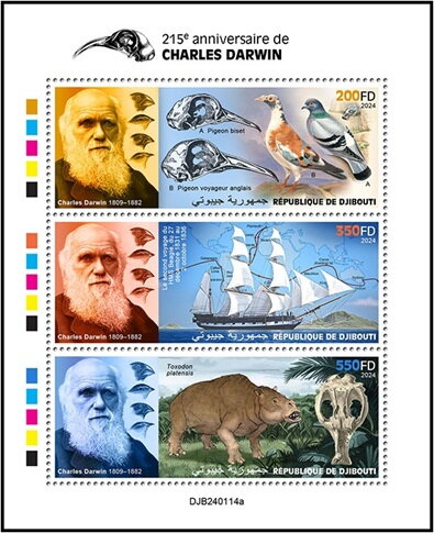 215th Anniversary of the Birth of Charles Darwin