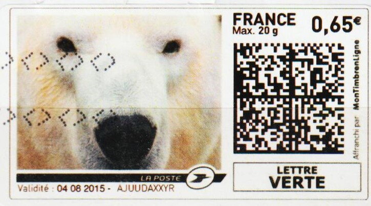 Polar Bear 2 in colour