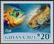 Fish