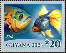 Fish