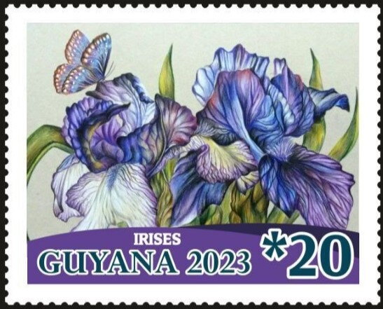 Irises