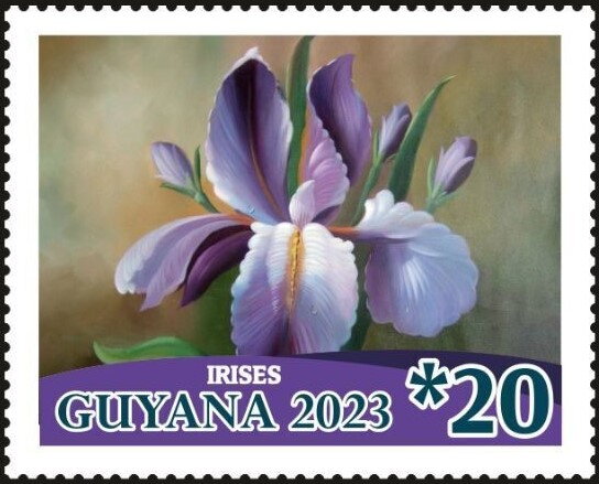 Irises