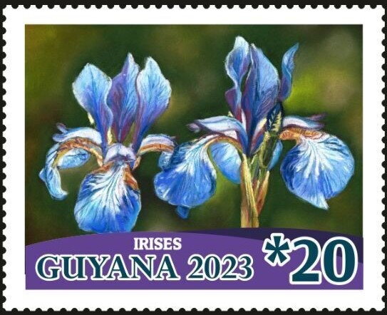 Irises