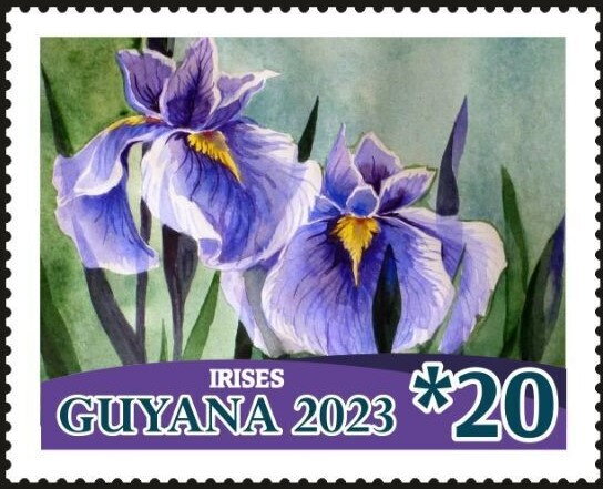 Irises