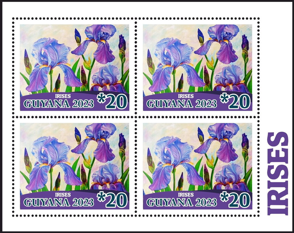 Irises