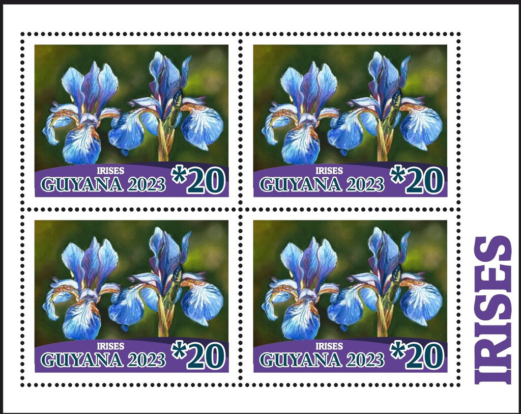 Irises