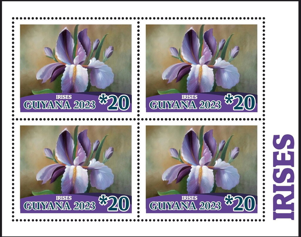 Irises