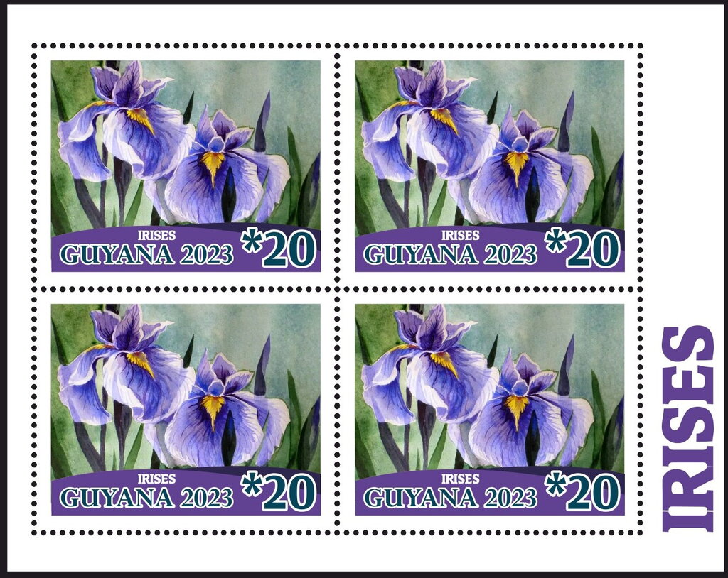 Irises