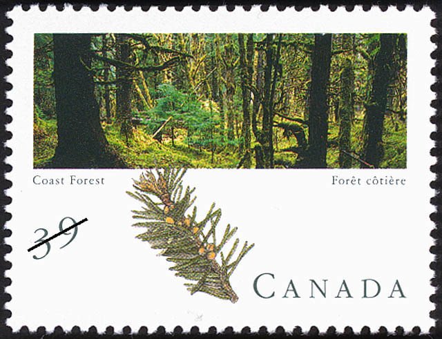 Pacific Coast Forest