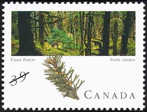 Stamp, Pacific Coast Forest, Canada,  , Landscapes, Trees, Forests, Plants (Flora)
