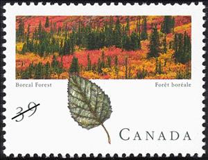 Stamp, Boreal Forest, Canada,  , Landscapes, Trees, Forests, Plants (Flora)