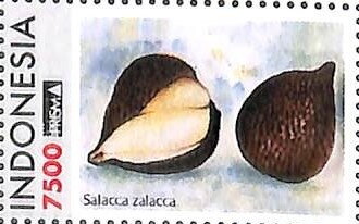 Salak (Salacca zalacca)