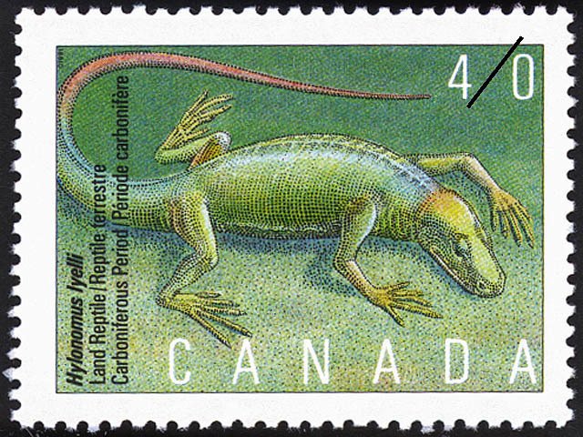 Hylonomus lyelli, Land Reptile, Carboniferous Period