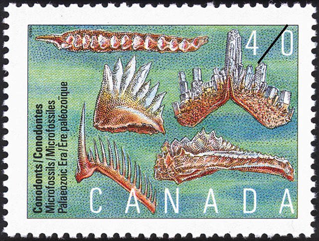 Conodonts, Microfossils, Palaeozoic Era