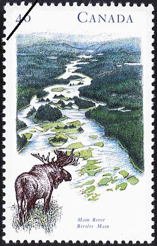 Main River