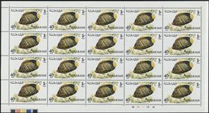 Full Pane, Royal Angelfish (Pygoplites diacanthus), Sharjah,  , Animals (Fauna), Fishes, Sea Life
