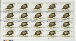 Full Pane, Royal Angelfish (Pygoplites diacanthus), Sharjah,  , Animals (Fauna), Fishes, Sea Life