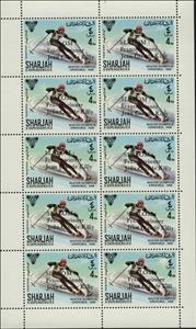 Full Pane, Ski Descent, Sharjah,  , Olympic Games, Skiing, Sports, Winter Sports