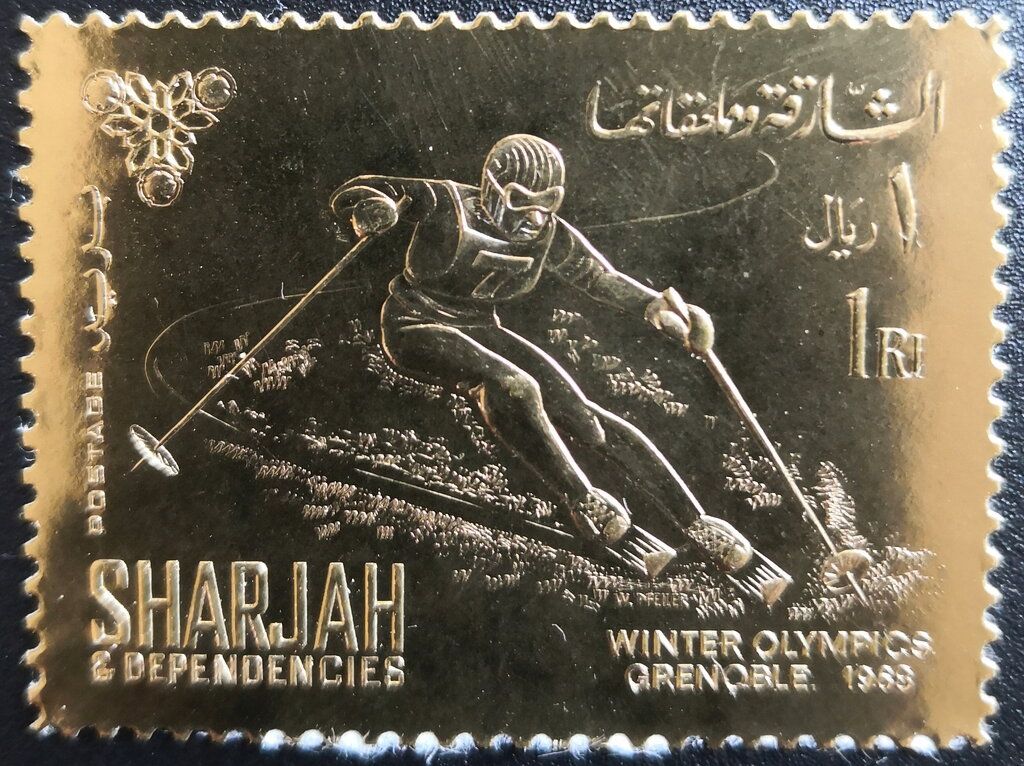 Skier
