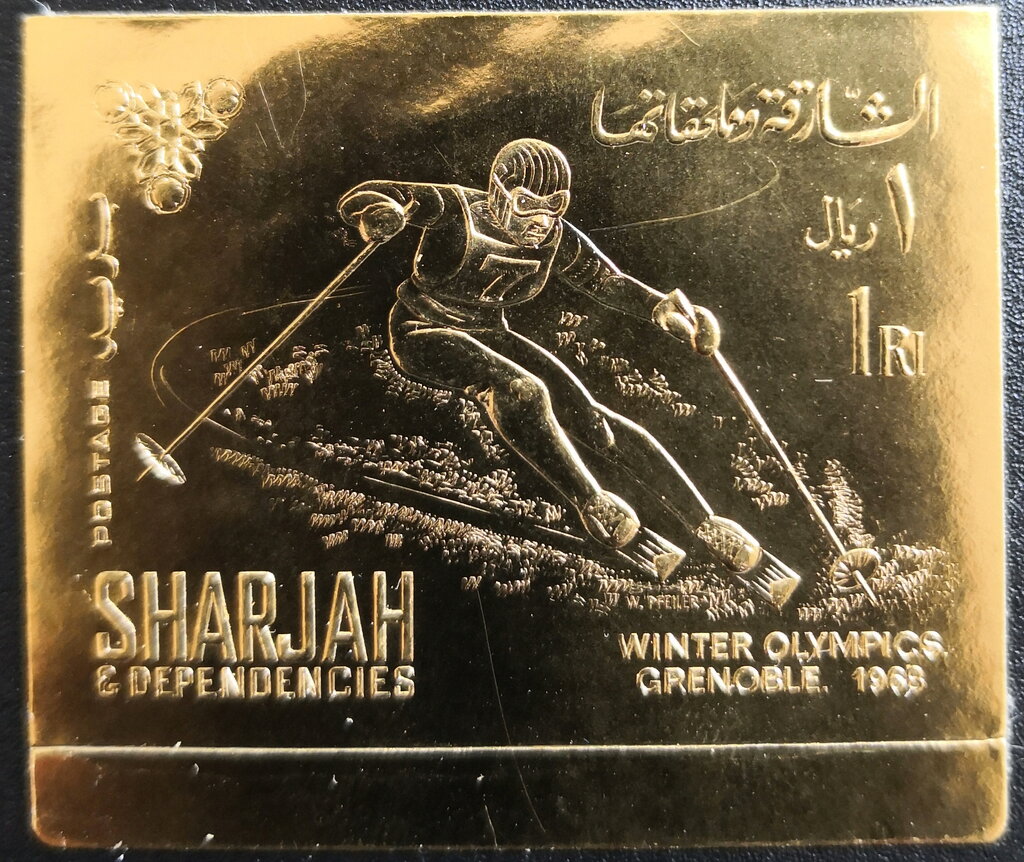 Skier