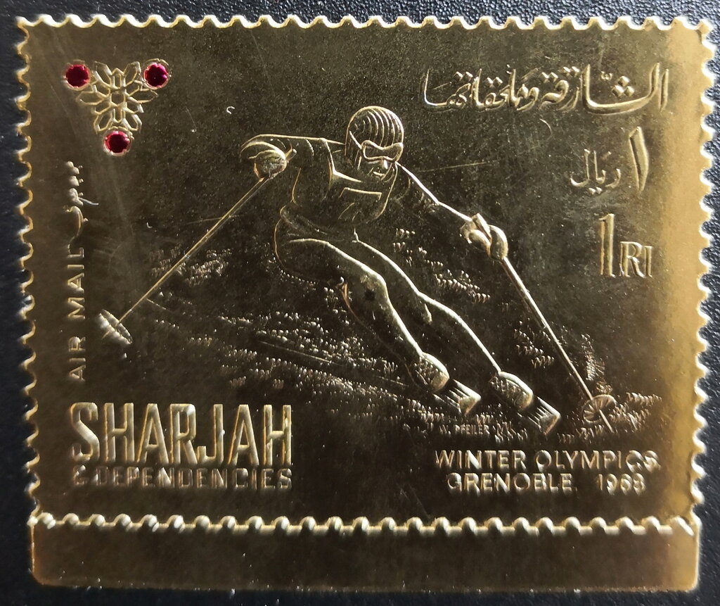 Skier