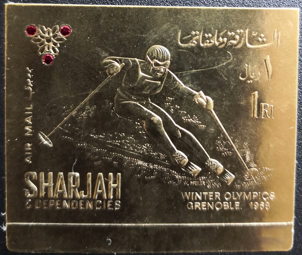 Skier
