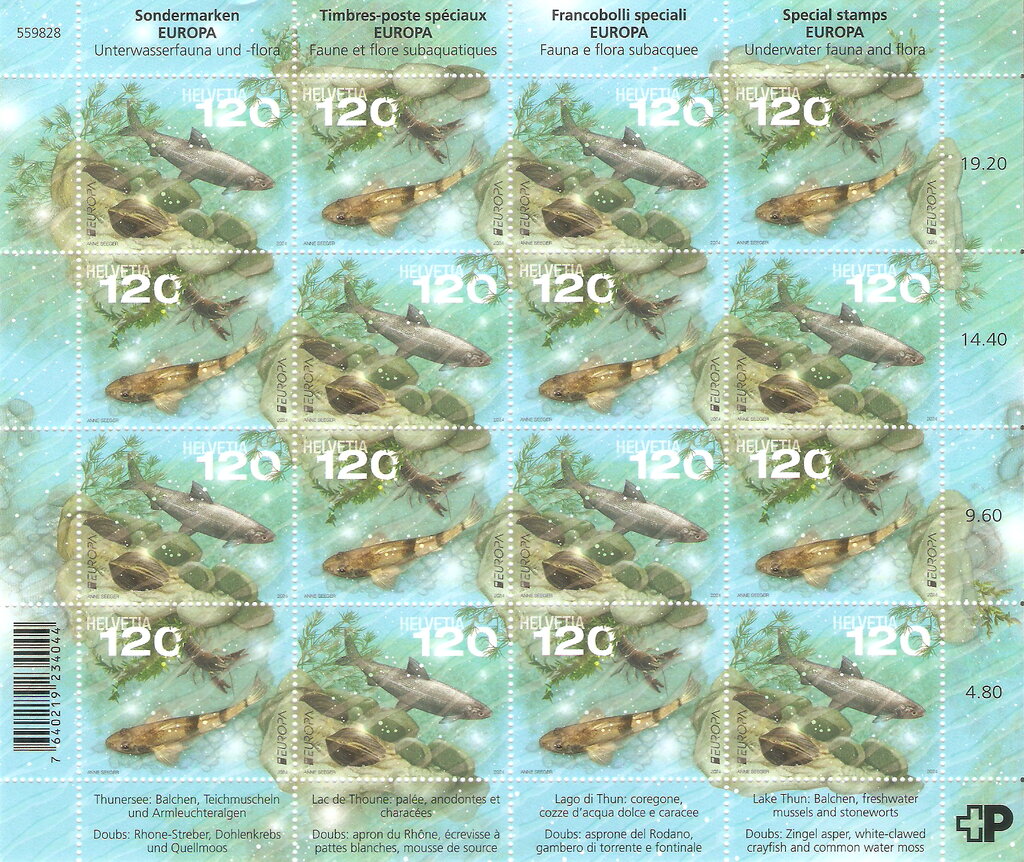 Underwater Fauna and Flora