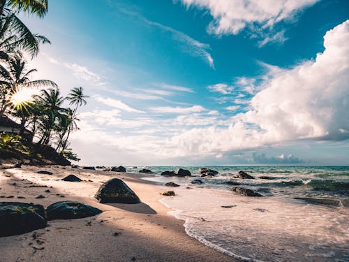 Sea