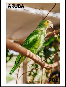 Stamp, Lora (Amazona barbadensis), Aruba,  , Birds