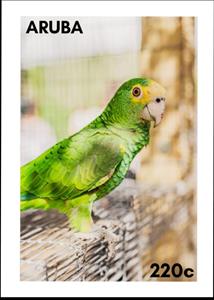 Stamp, Lora (Amazona barbadensis), Aruba,  , Birds