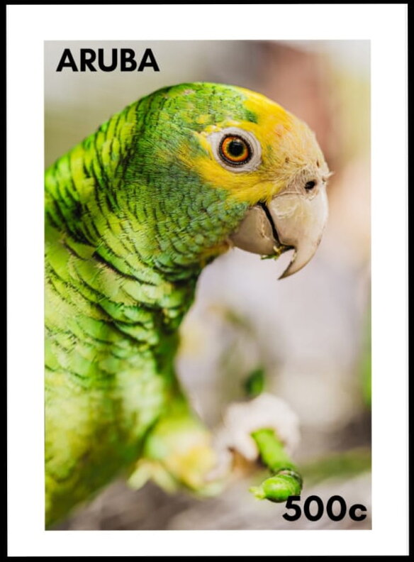 Lora (Amazona barbadensis)