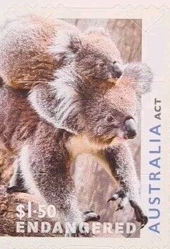 Stamp, Koala and Joey, Australia,  , Animals (Fauna), Koalas, Mammals