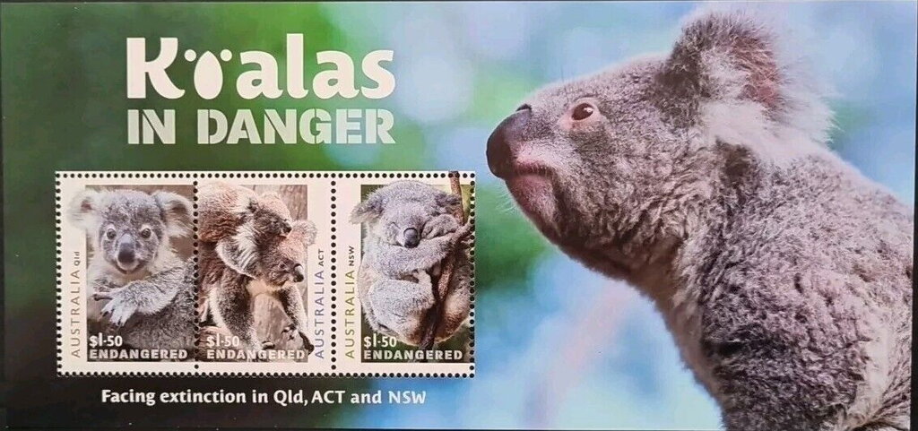 Koalas in Danger