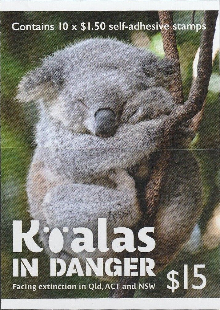 Koalas in Danger