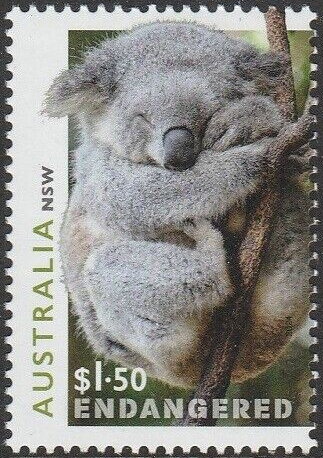 Sleeping Koala